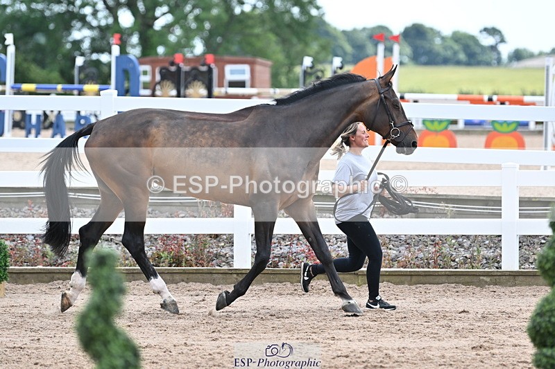 240717A-143156-02115 - Trot Up 2pm to 3pm - This folder is not in time order