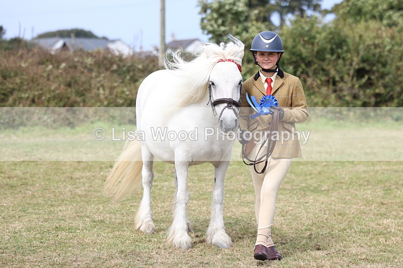 3E7A5316 - Class 18: Veteran in Hand