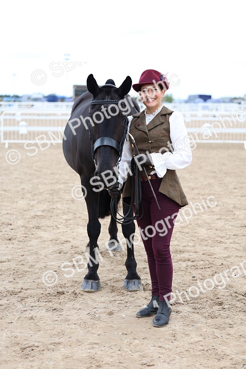 SBM_05079 - Class 27 - IH Competition Horse or Pony