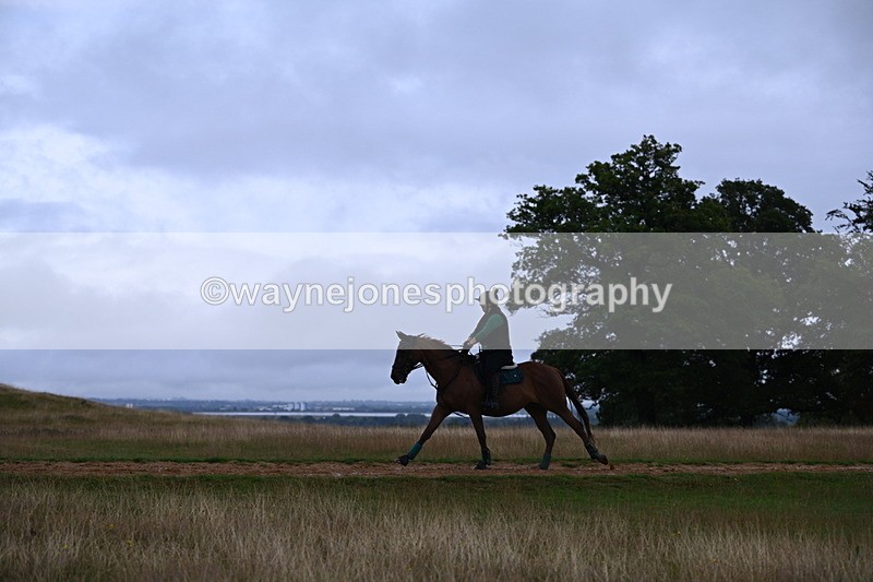 DSC_3743 - Time at Statue 13:51 to 14:55
