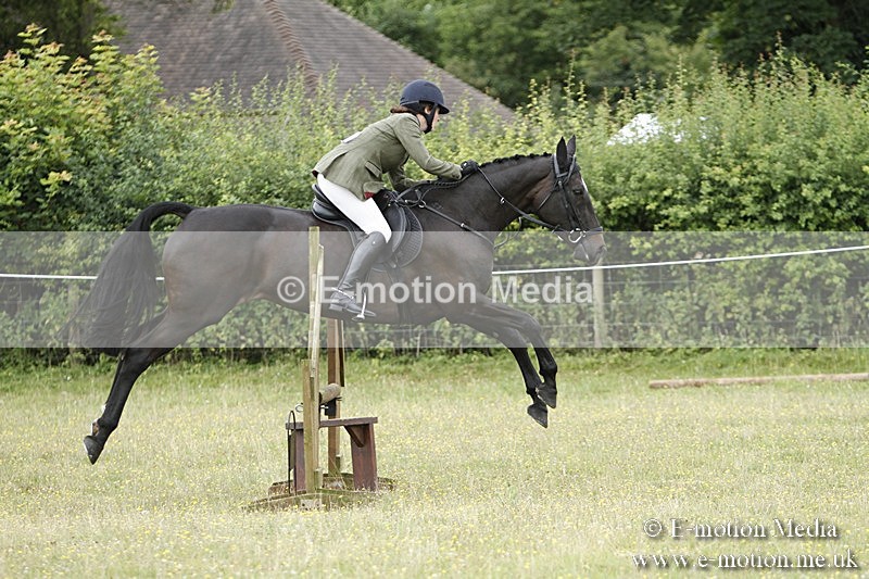 BVR160717-869 - Ring 3 BVRC Show 16/07/17