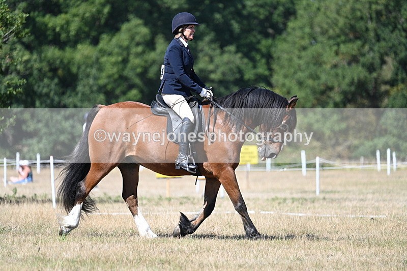 WJ7_0753 - Time 12:03 to 12:23