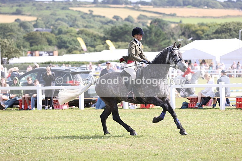 JPP_2597 - Class 20: Working Hunter 70cm