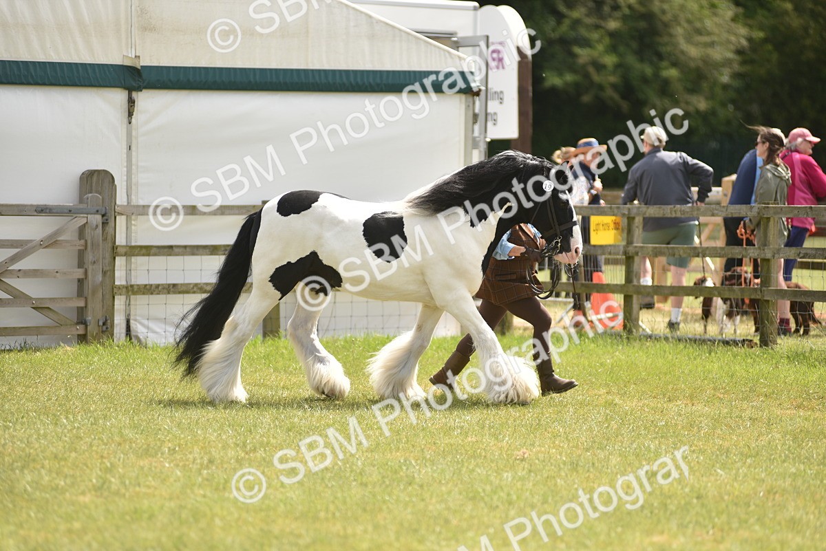 SBM_16051 - Class 117-122 - SSADL RIHS Qualifier