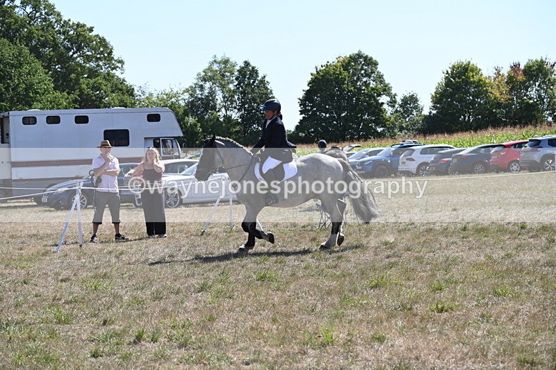 WJ6_8889 - Class 38 Ridden Riding Horse/Pony