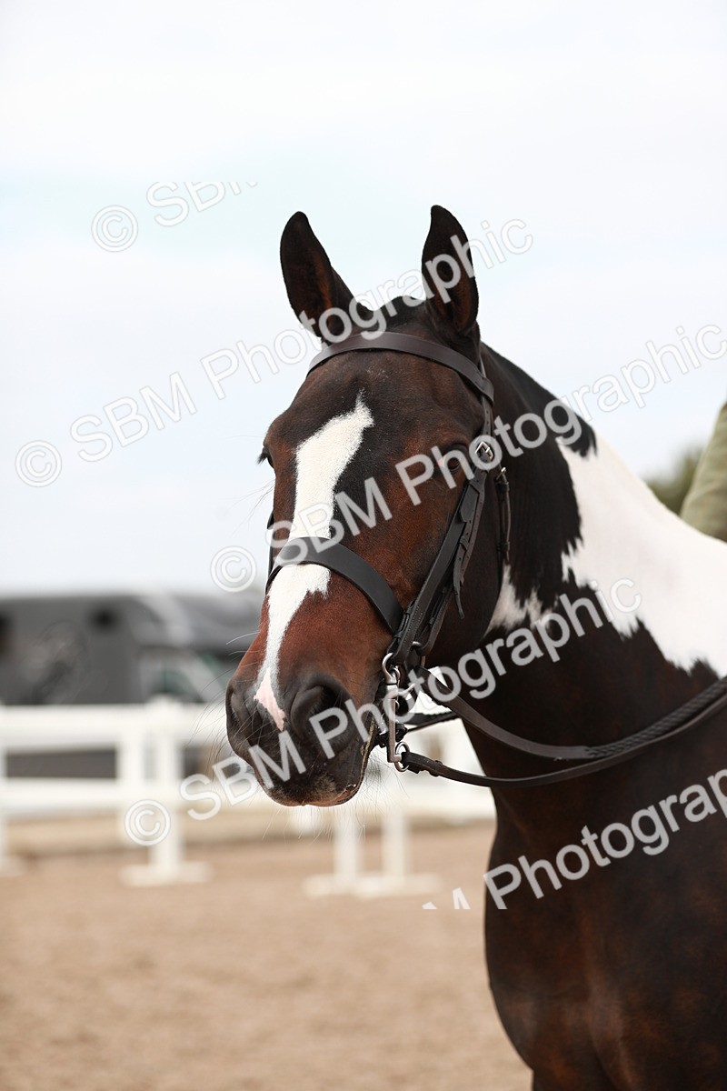 SBM_16749 - Class 214 Ridden Cob