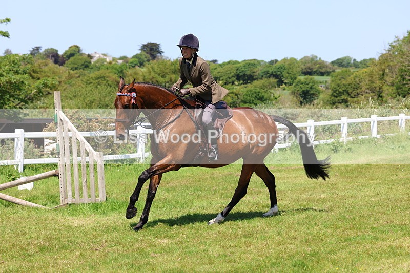 3E7A7528 - Class 31: Working Hunter Cob/Riding Horse