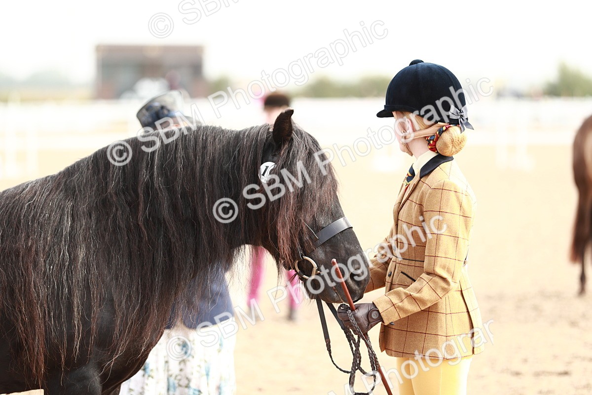 SBM_10539 - Class 204 Young Handler, 11-16 years
