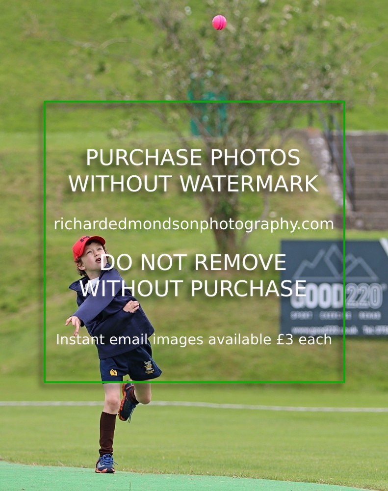 IMG_6001 - Netherfield Under 9's vs Burneside Under 9's (7/7/24)