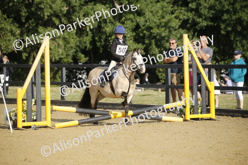 20250622-1155 - 40cm