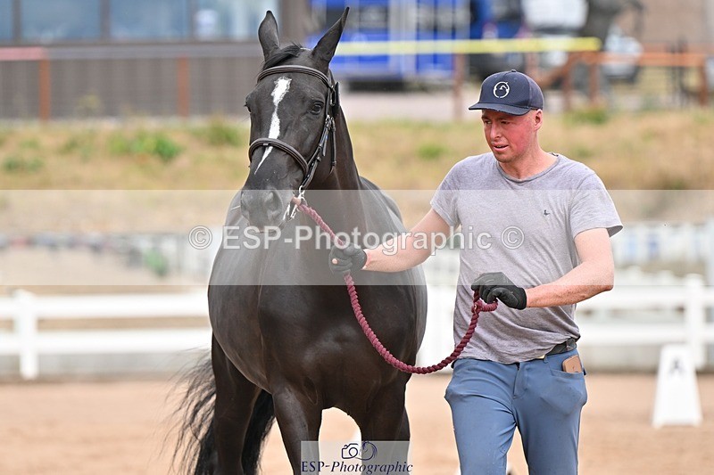 250716-162846-02644 - Trot Up 3.30 to 4.30