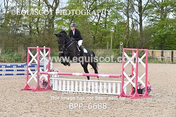 BPP_6688 - CLASS 2 FRI Club/ Unaffiliated 80cms Open