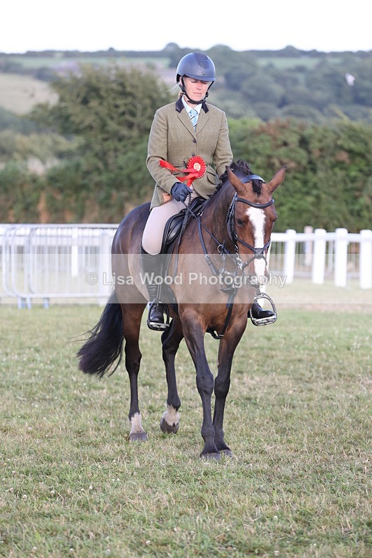 JPP_3732 - Working Hunter Championship