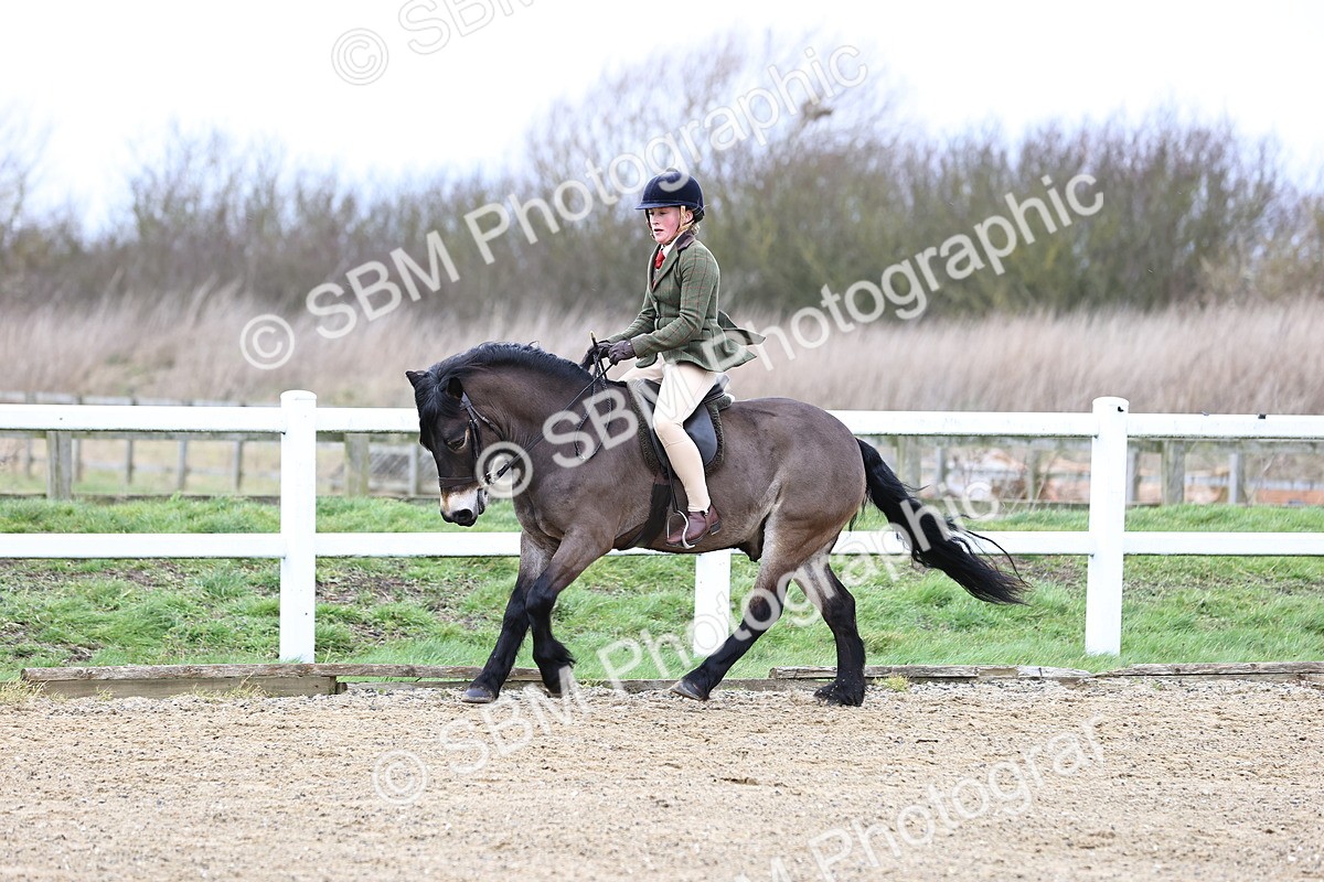 SBM_006790 - Class 29 - 30 - M&M Pure Novice Small-Large Breeds