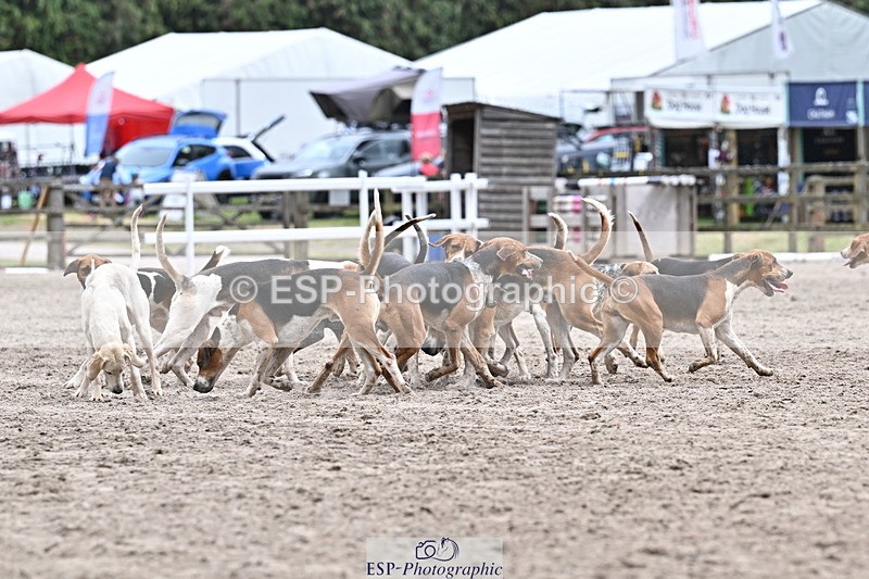 250524A-152355-12729 - East Devon Hounds