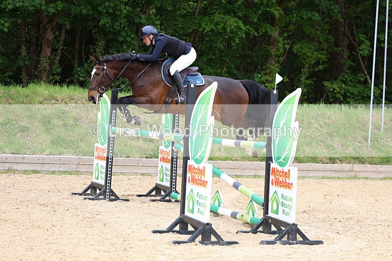 3E7A9588 - Class 9: Senior Foxhunter/1.20 open