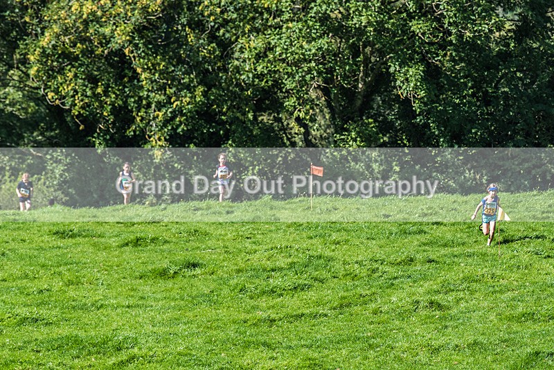 Loweswater Show-53 - Loweswater Show Junior & Senior Fell Races Sunday 3rd September 2023