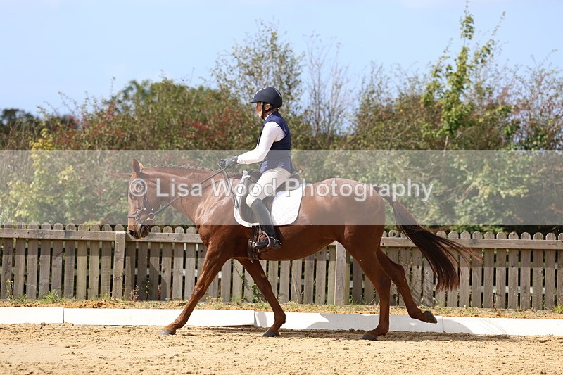 3E7A4026 - Class 9: Novice 6 Section B Championship