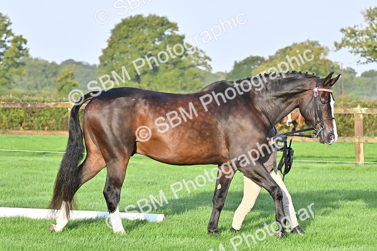 SBM_32549 - S15 - Top Turnout In Hand