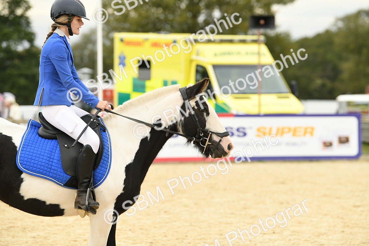 SBM_73041 - J16 - Junior Pony 75cm Championship