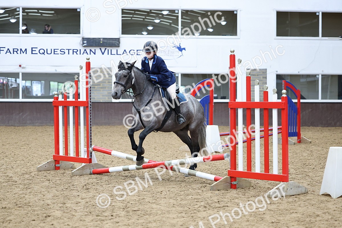 SBM_007321 - Class 2 - 50cm showjumping