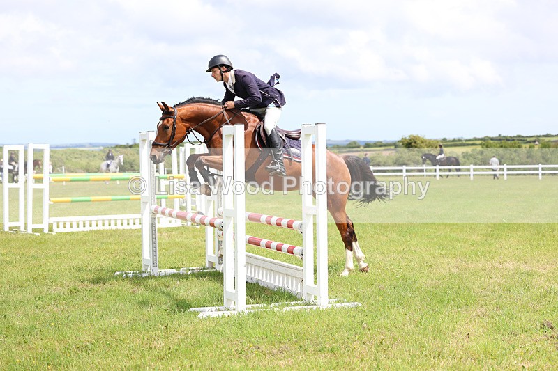 3E7A7413 - Class 13: Senior British Novice/90cm open