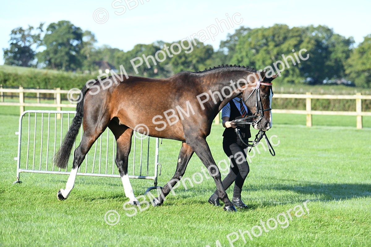 SBM_32874 - S15 - Condition & Turnout In Hand