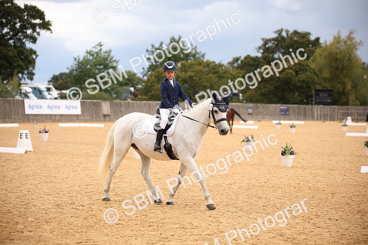 SBM_12211 - D3 Small  Tour Championship Intro A