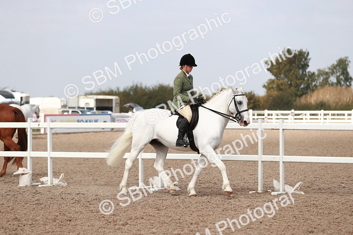 SBM_14803 - Class 212 Ridden Hunter - Small