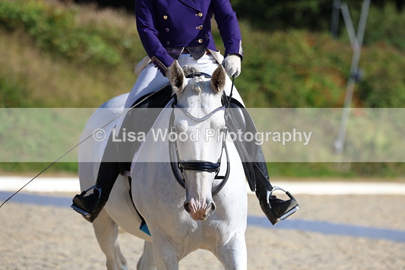 3E7A3509 - Class 2: Intro 1 2024 Section B