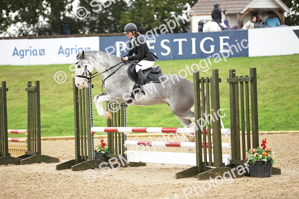 SBM_33146 - J38 - Senior Horse & Pony 80cm Championship