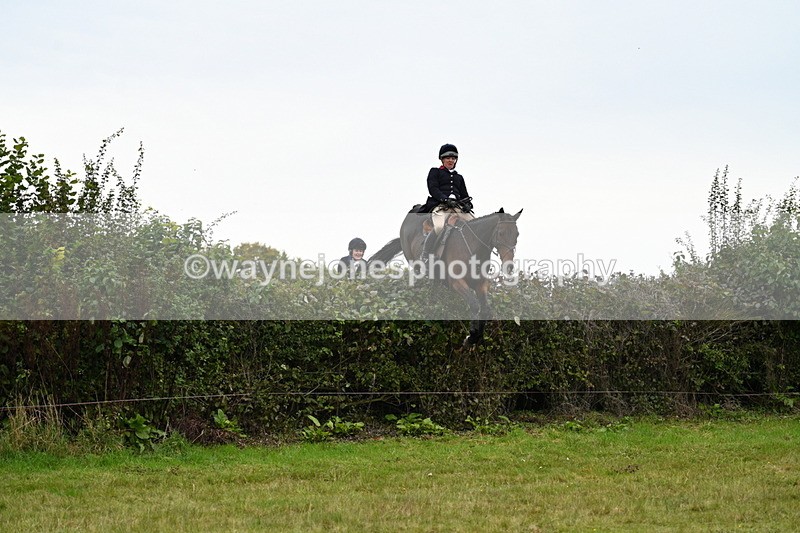 WJ7_4062 - Camera 1 Line 2