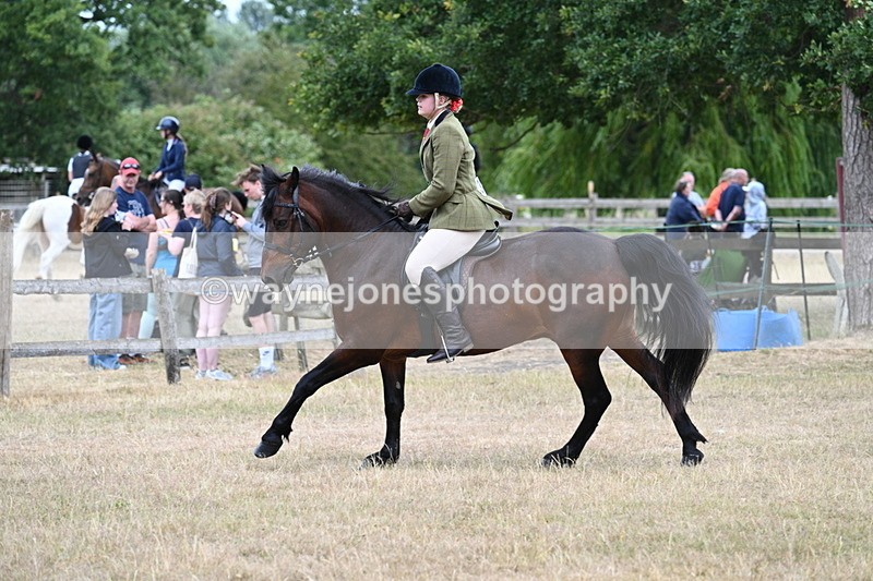 WJ7_0627 - Class 6 Ridden Mountain and Moorland