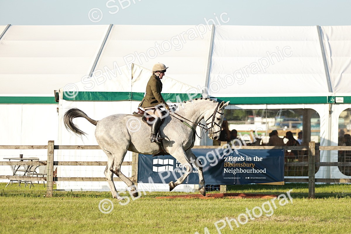 SBM_20464 - Class 117-119 - Sport Horse Working Hunter