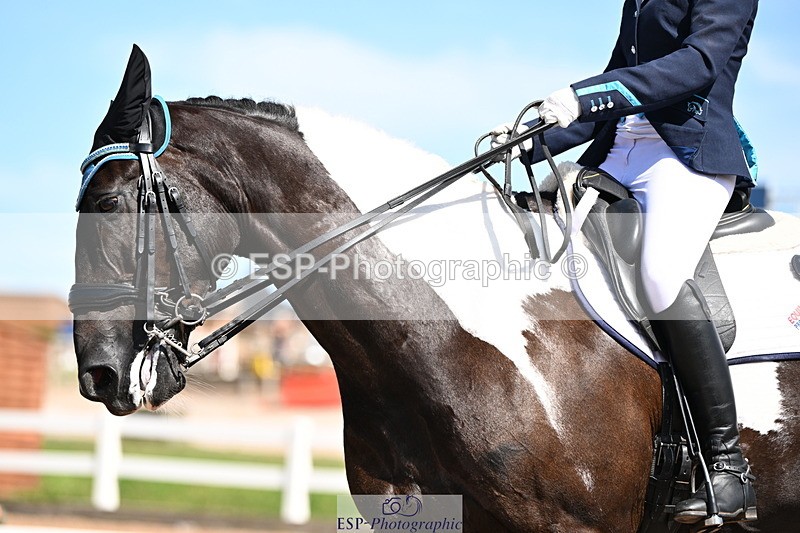 240816A-141924-05556 - 275-Alys.Matravers-Tiger.Mazariti