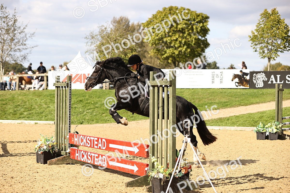 SBM_49167 - J9 - Junior Pony 70cm Championship