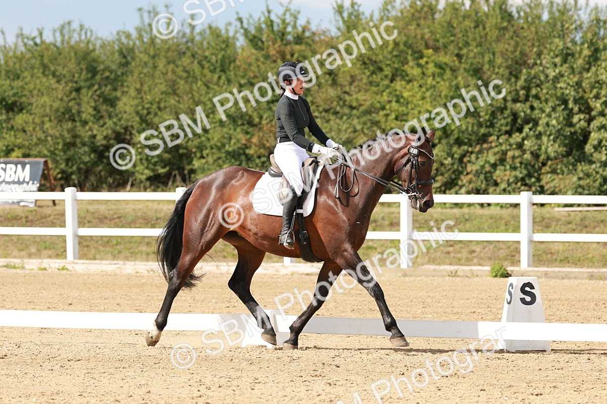 SBM_002457 - Class 11 - Medium 6