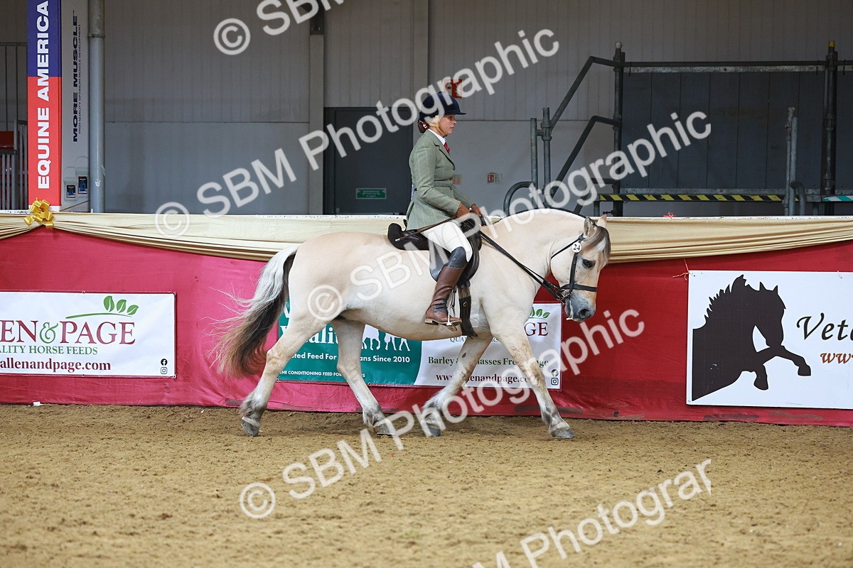 SBM_09365 - Class 102 - HOYS Veteran Qualifier - Ridden Veteran
