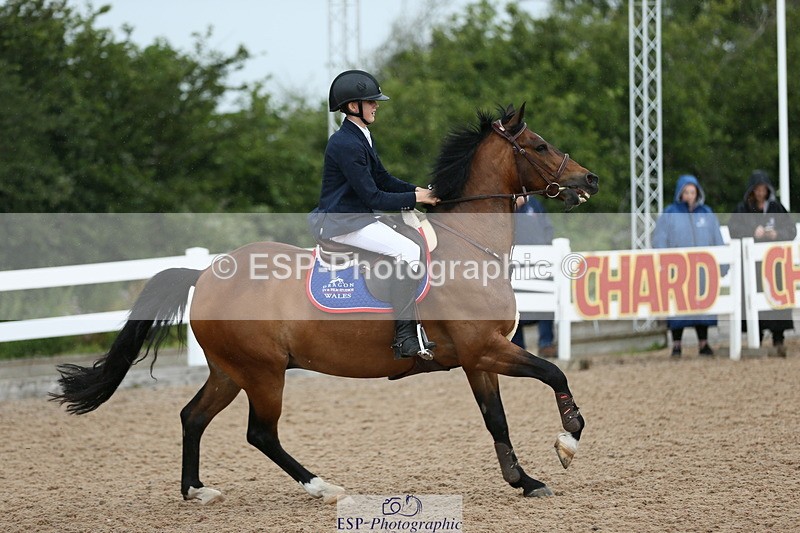 230716A-130926-03694 - Class 23a&b Pony Newc & 1.00m Open