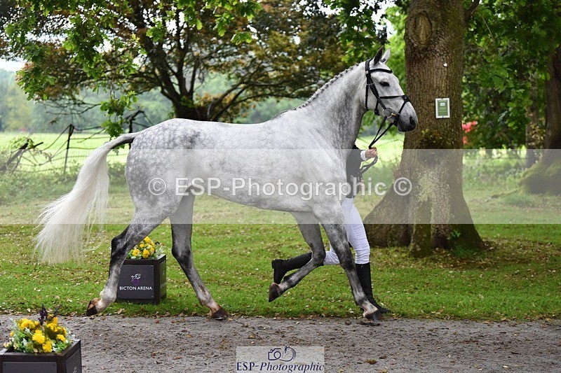 240522-164314-01110 - 267-VAN_KAUNITZ-Jemima_Howden