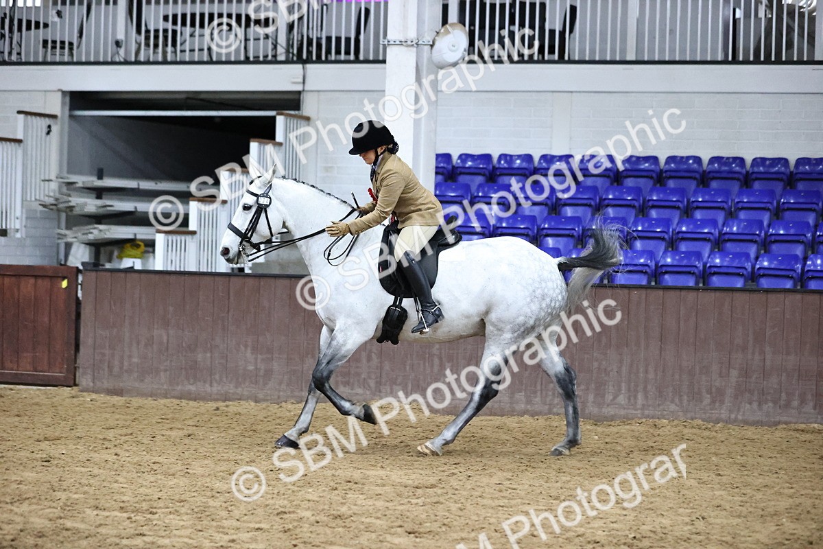 SBM_6407 - Class 45-42 - Ridden Irish Breeds-Ridden Cob