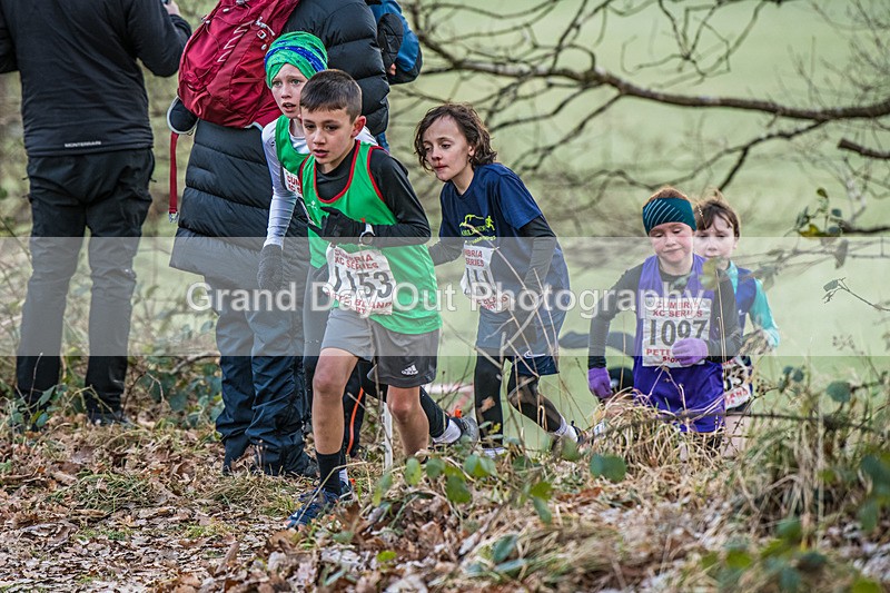 Cumbria XC-49 - Cumbria Cross Country Championships (Junior & Senior Races) Saturday 3rd January 2026