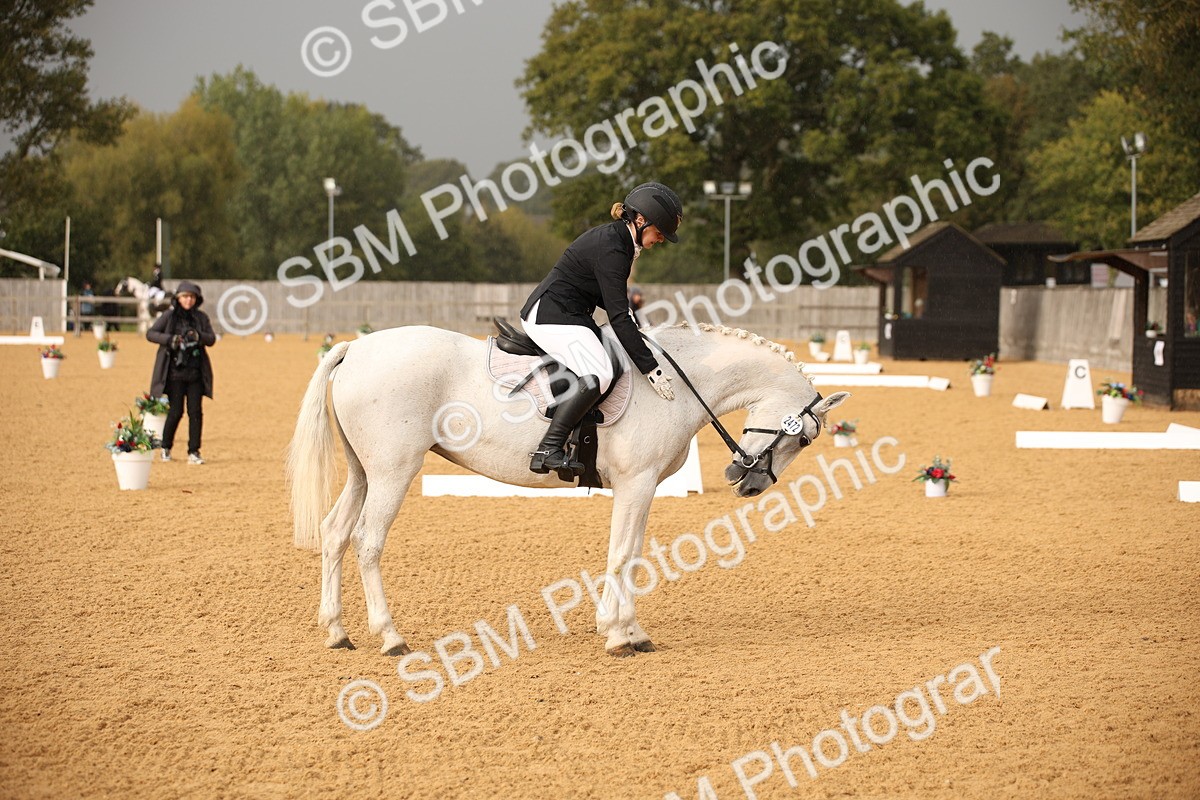 SBM_12331 - D3 Small  Tour Championship Intro A