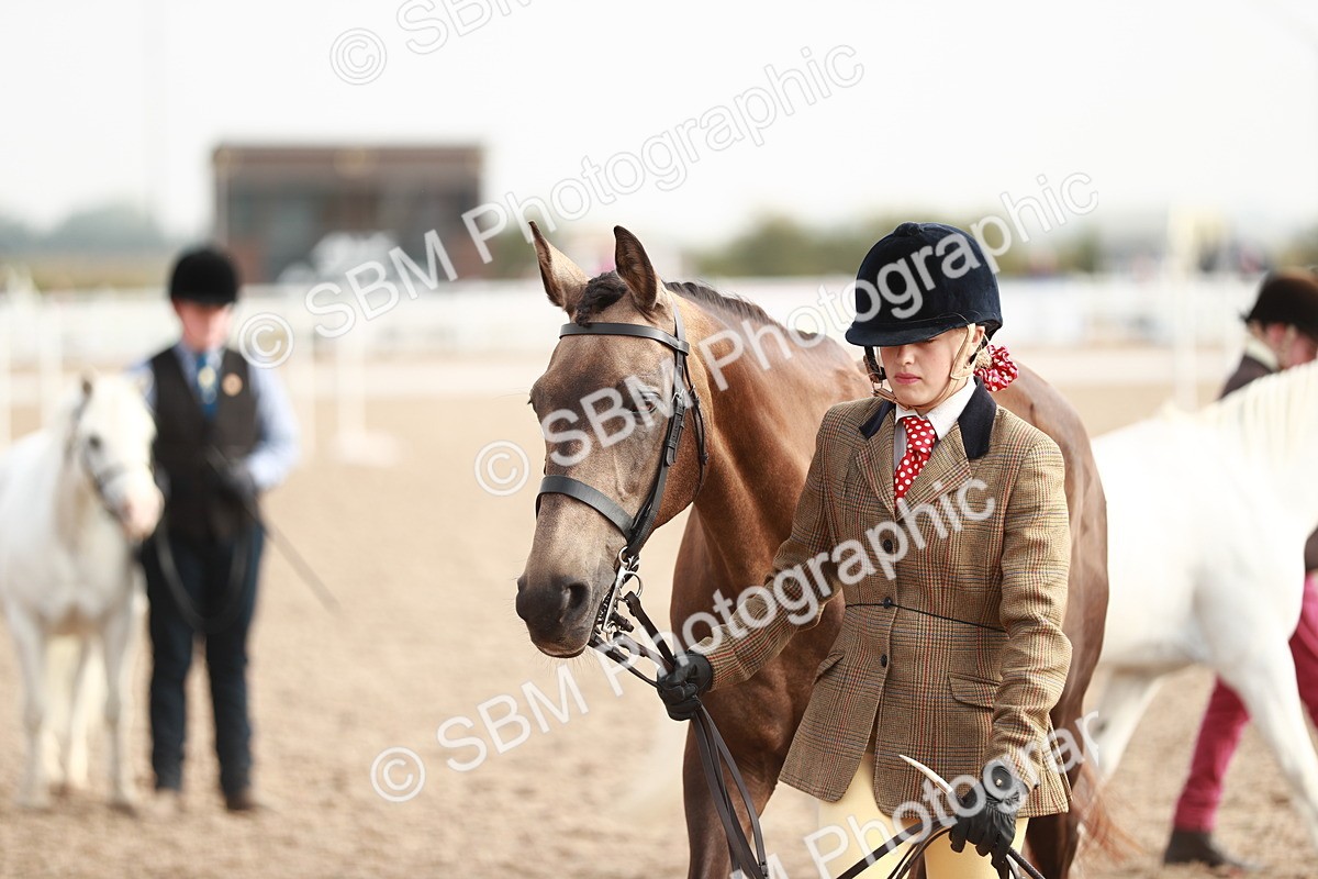 SBM_10571 - Class 204 Young Handler, 11-16 years