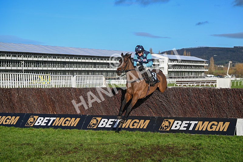 141224-Race 3-Shakeyatailfeather-1725 - Race 3