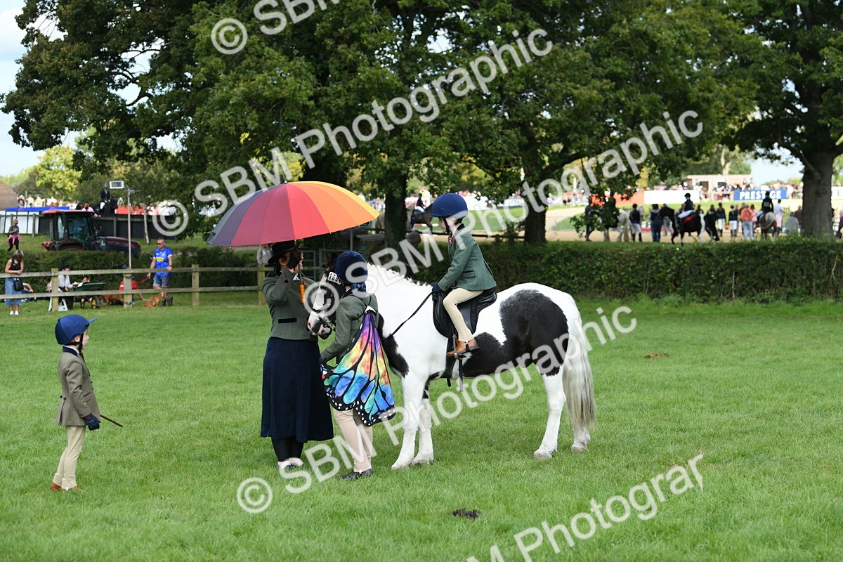 SBM_46996 - S12 - Family Horse & Pony