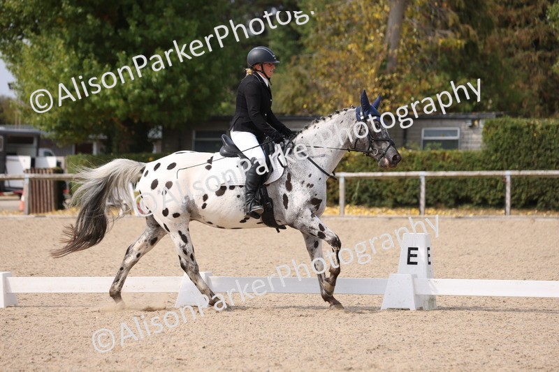 20250819-1585 - Class 5 - Novice 3