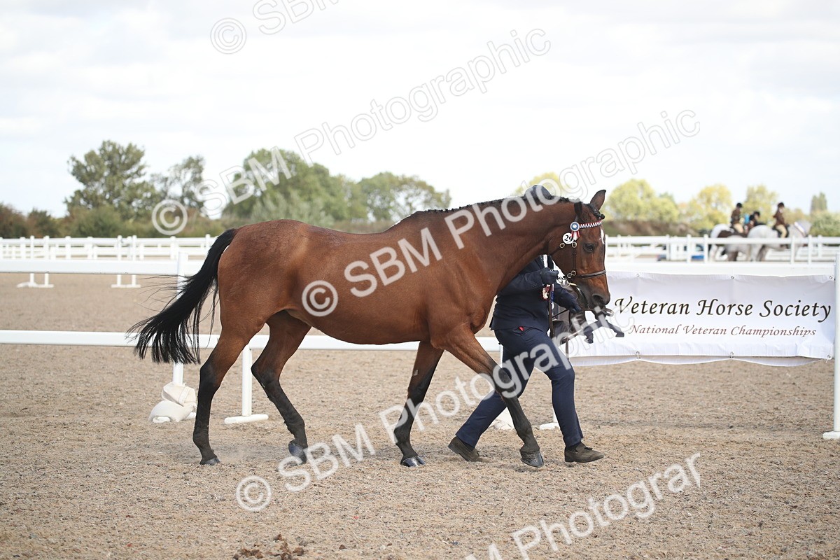 SBM_23504 - Class 604 - 2026 - Area IH Diamond