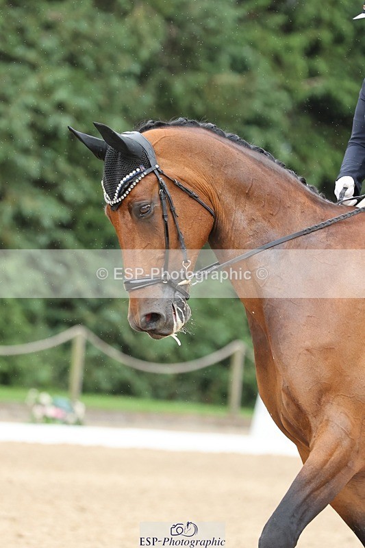 240810-153210-04051 - 197-Katherine.Carne-Calcourt.Romancier