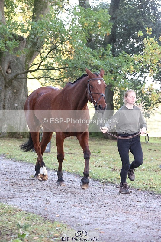 261025A-091649-24398 - 3DE Unknown riders - Trot Up